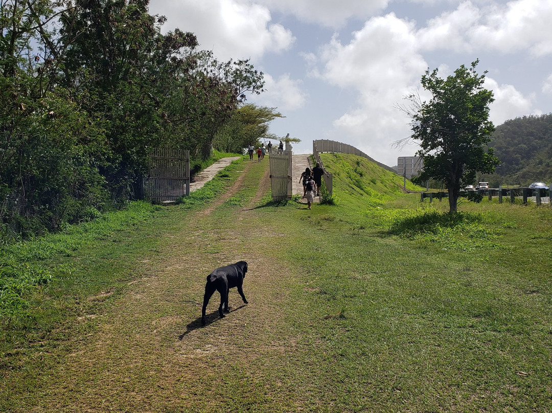 Monumento al Jíbaro Puertorriqueño-Salinas必去景点