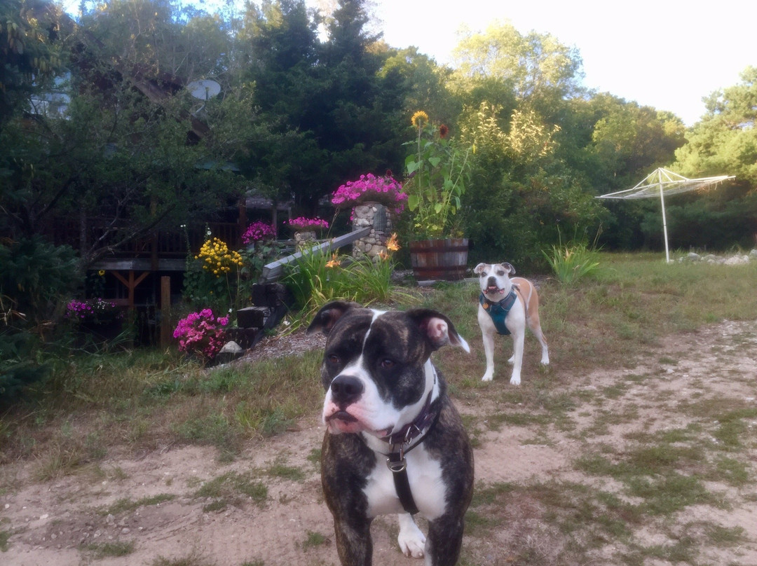 Grace Grange Lodge and Stable主图