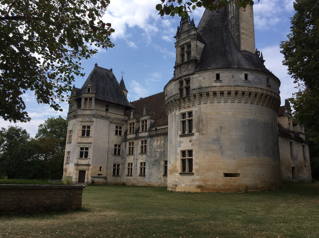 Chateau de Puyguilhem景点图片