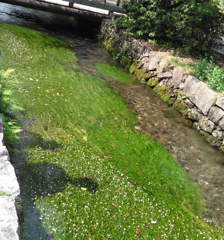 Jizo River-米原市必去景点