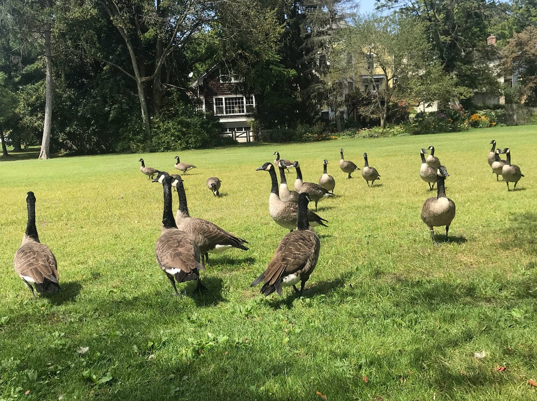 Chagrin Waterfalls-Chagrin Falls必去景点