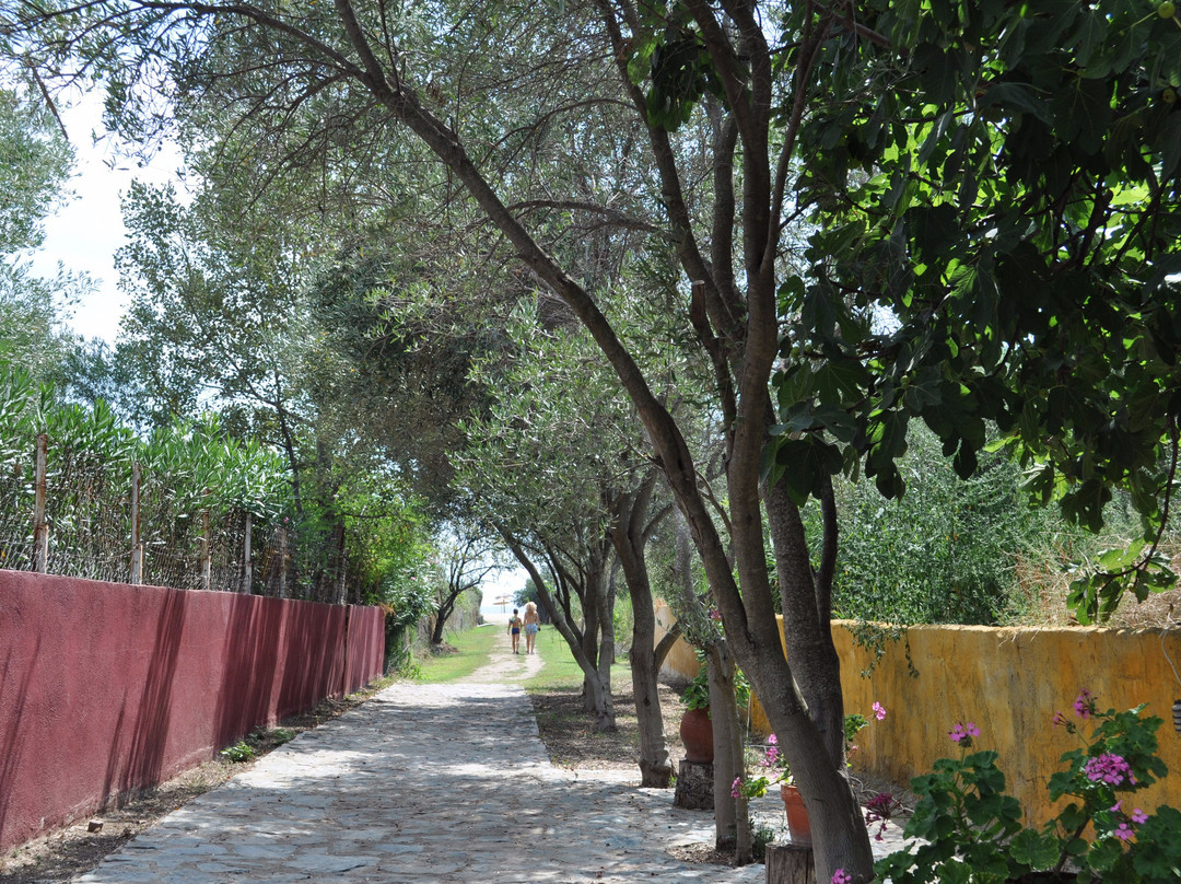 Hotel Despotiko主图