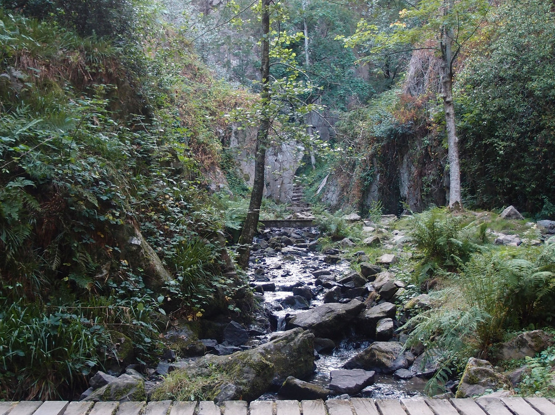 Petite Cascade de Mortain景点图片