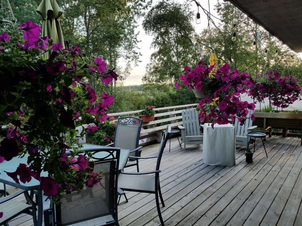 Island Shores Bed & Breakfast主图