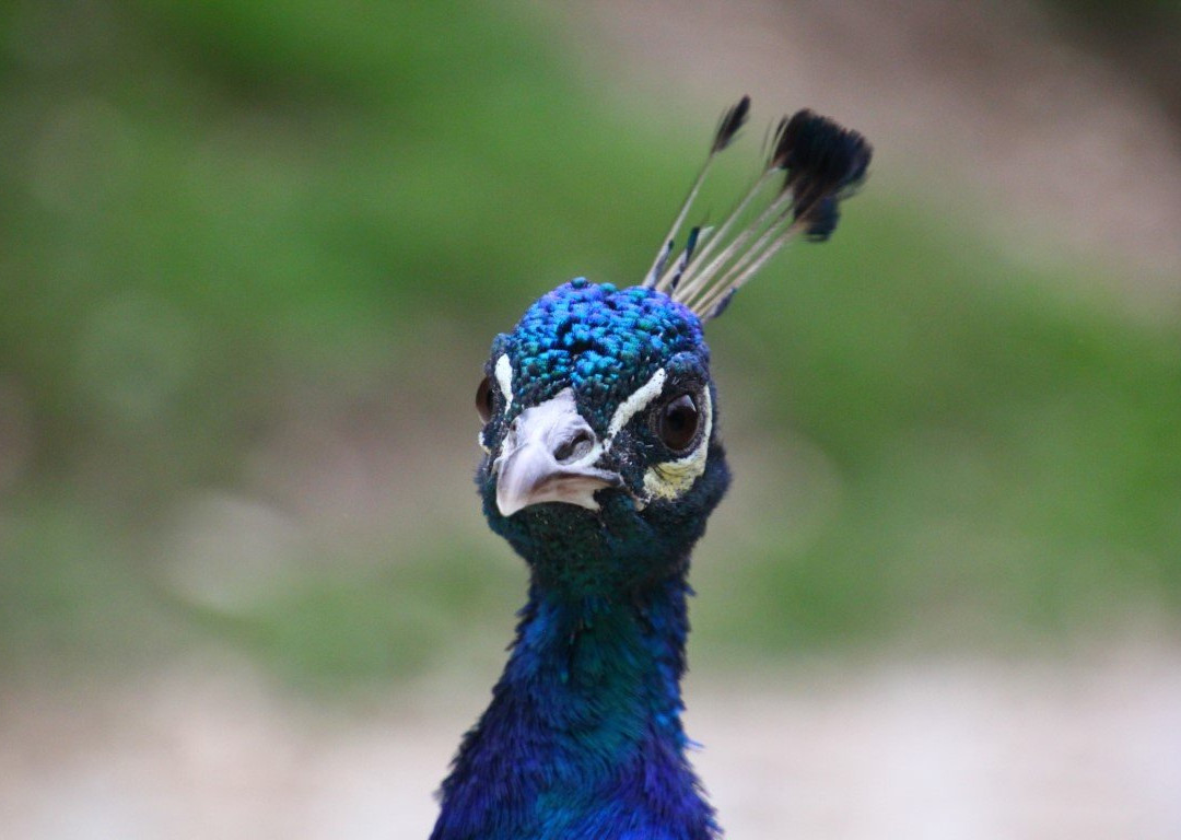 Erlebnisgastronomie Lochmuhle主图