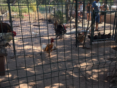 La Ferme De Padula-维琪奥港必去景点