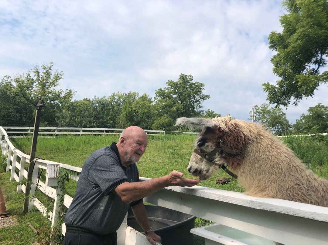 Garth Woodside Mansion主图