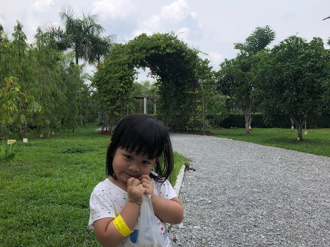 VH Green Nature Park-古晋必去景点