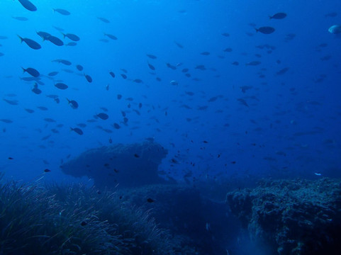 Tauchschule Poseidon Menorca-米诺卡必去景点