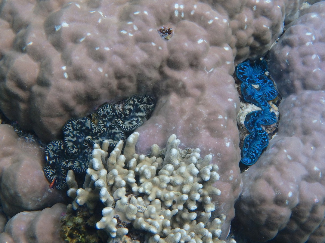 Poe Beach-Bourail必去景点