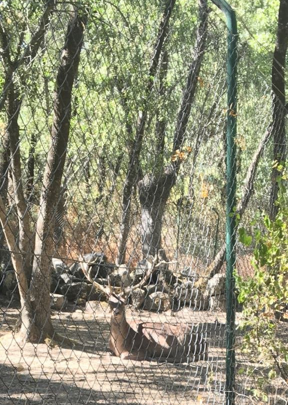 Cañada Real Centro de Naturaeza景点图片