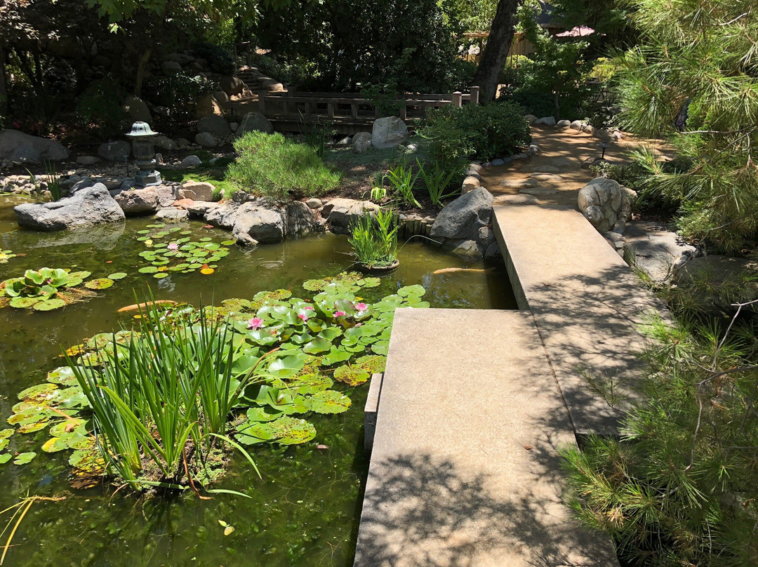 Storrier Stearns Japanese Garden景点图片