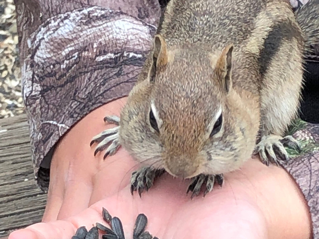 St. Elmo-Nathrop必去景点