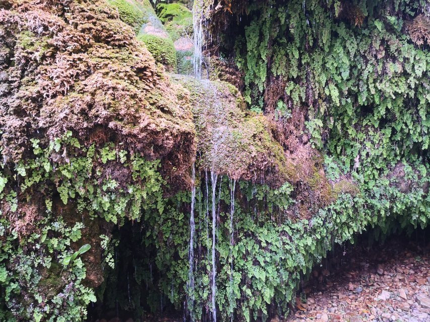 Asiab Kharabeh Waterfall景点图片