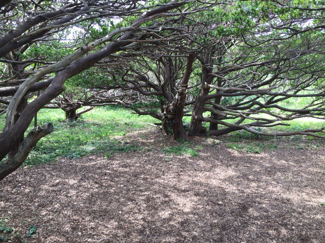 Onko no Sho-羽幌町必去景点