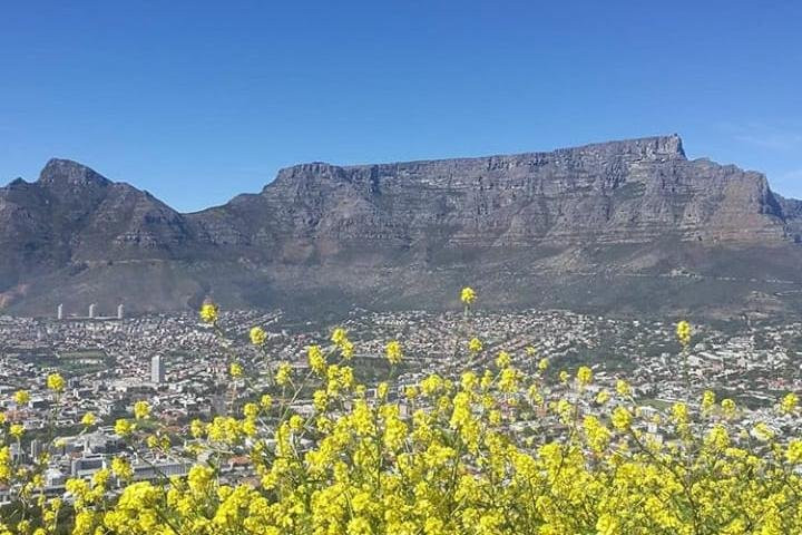 Kafunta Africa Tours-开普敦中心区必去景点
