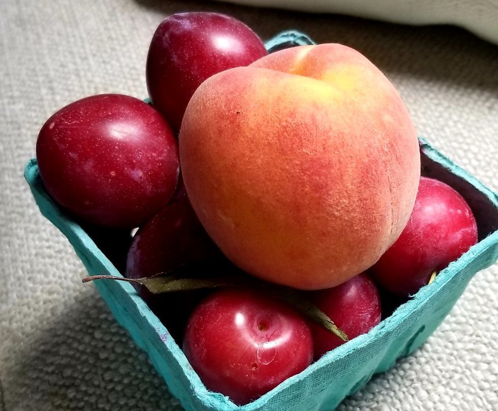 Brattleboro Farmers' Market-布拉特尔伯勒必去景点