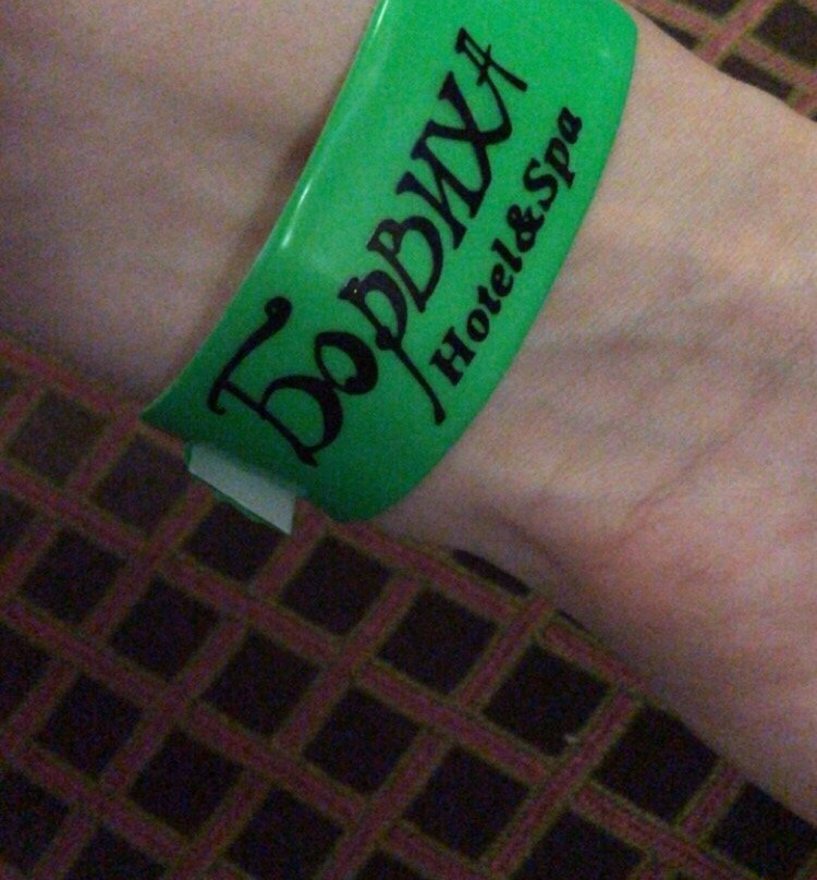 Borviha Hotel&SPA主图