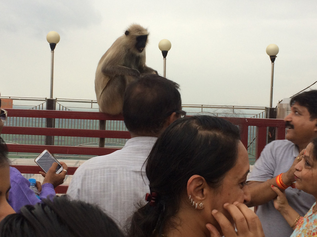 Vindhyavashni Beejasan Ma Temple Salkanpur-Salkanpur必去景点