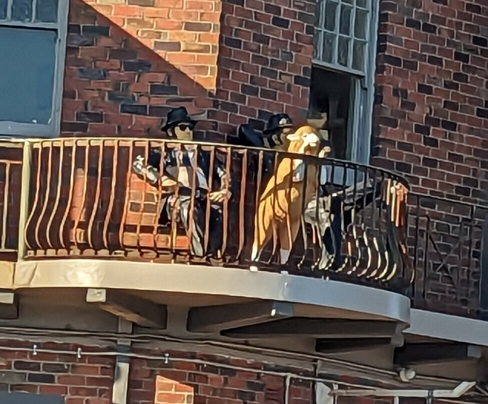 Commercial Hotel主图