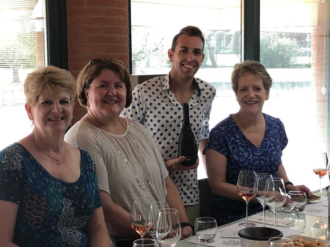 Lugana Wine Tours-代森扎诺-德尔加达必去景点