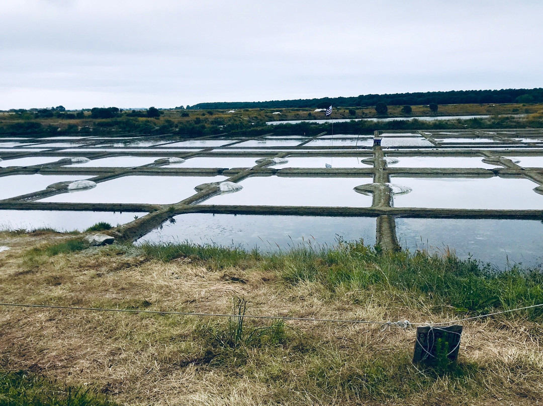 Le Petit Train des Marais Salants-La Turballe必去景点