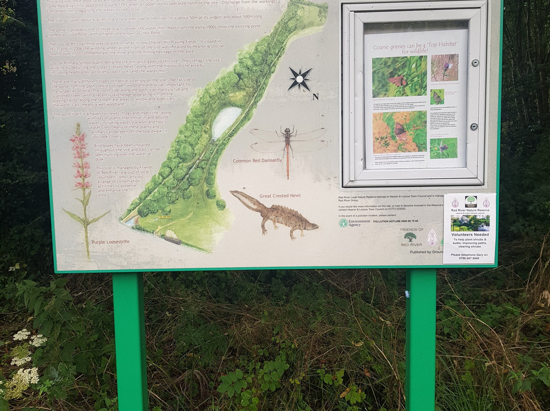 Red River Local Nature Reserve-Heanor必去景点