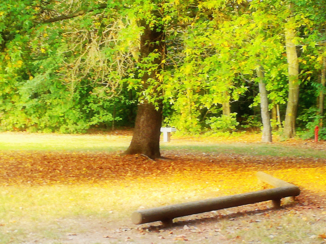 Parco Alto Milanese景点图片