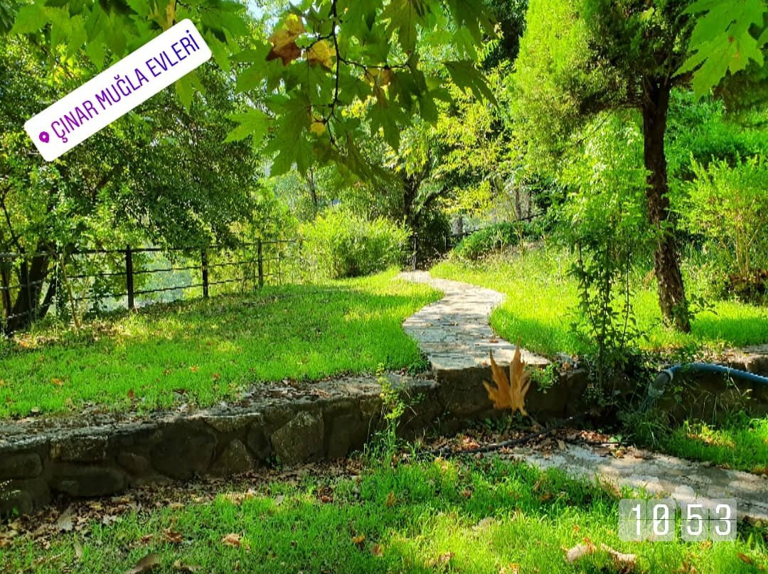 Cinar Mugla Evleri主图