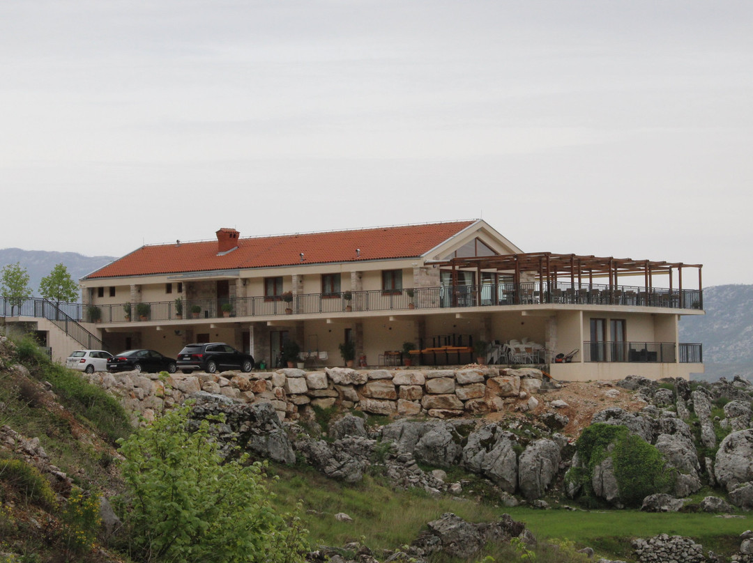 Hotel Sokoline主图