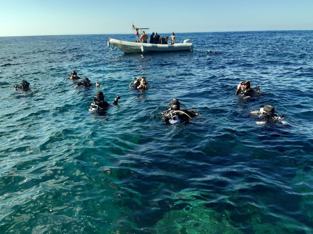 Ustica Diving景点图片
