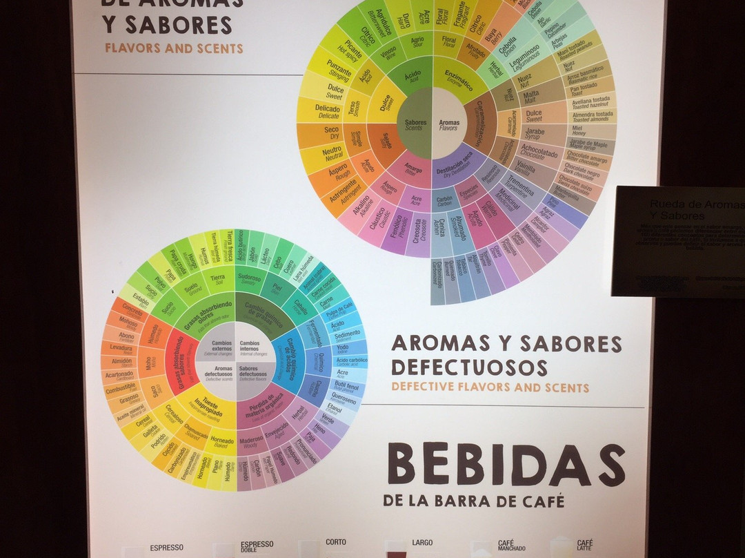 Museo del Café de Chiapas-图斯特拉古铁雷斯必去景点