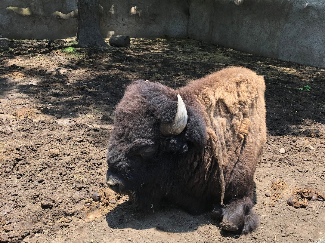 Ecoparc Colima-Colima必去景点