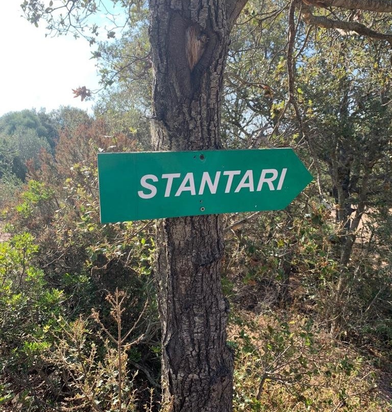 Plateau de Cauria-Sartene必去景点