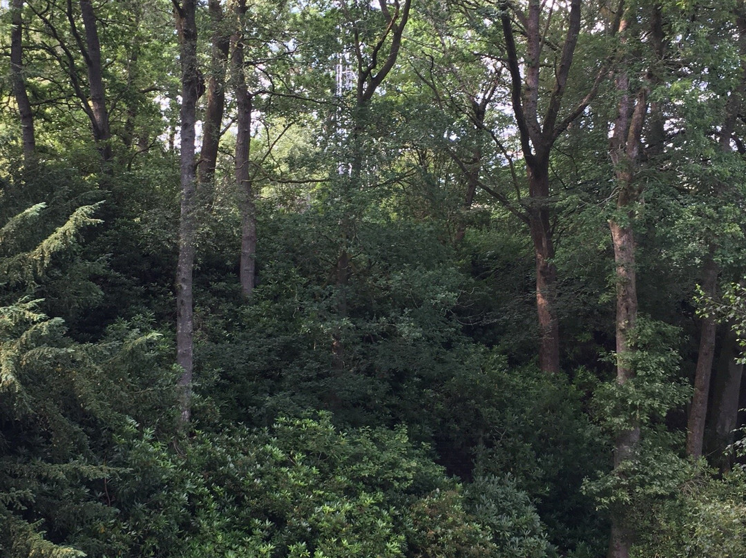 Explorers' Garden at Pitlochry Theatre-皮特洛赫里必去景点