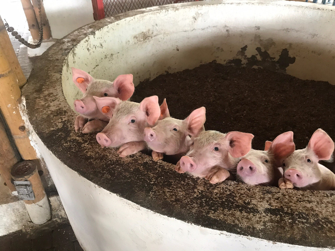 Parque Consota-佩雷拉必去景点