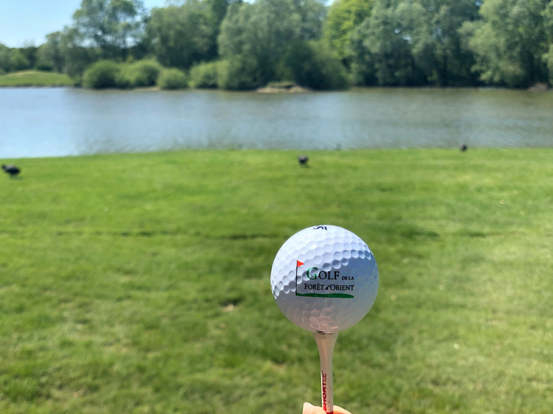 Golf de la Forêt d'Orient-Rouilly Sacey必去景点