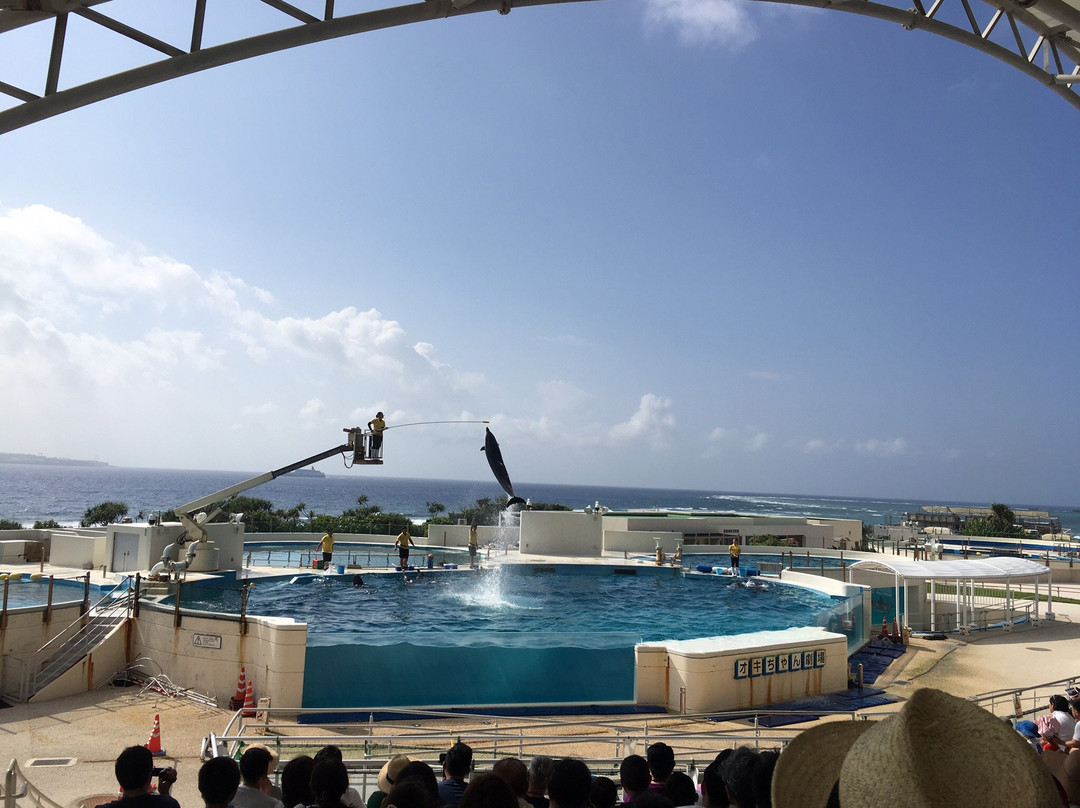 冲绳美之海水族馆景点图片