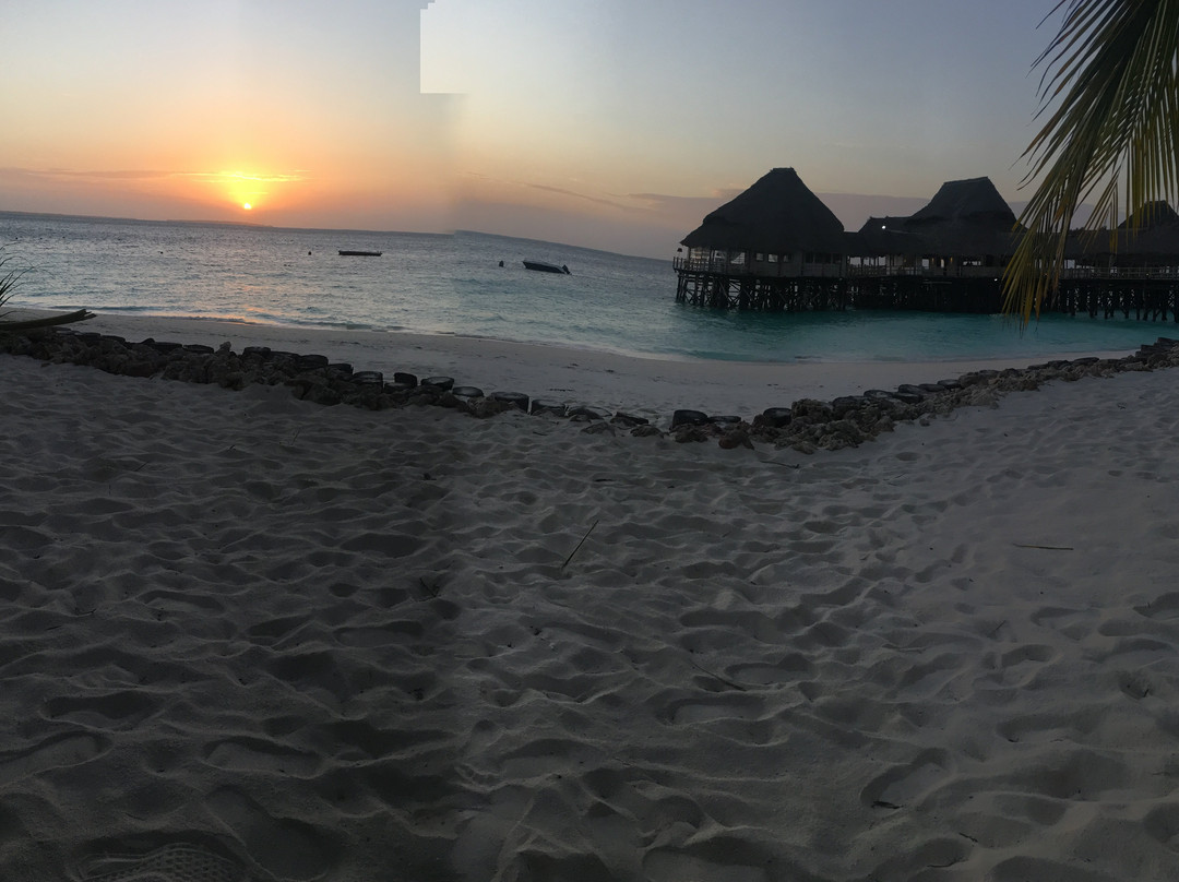 Zanzibar & Beyond Safaris-桑给巴尔市必去景点