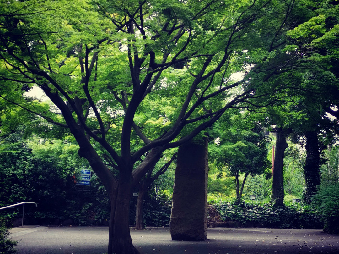 Momijiyama Park-中野区必去景点