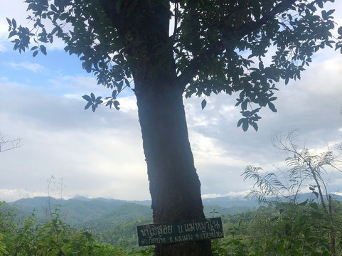 Chiangmai Jungle Trekking-清迈必去景点