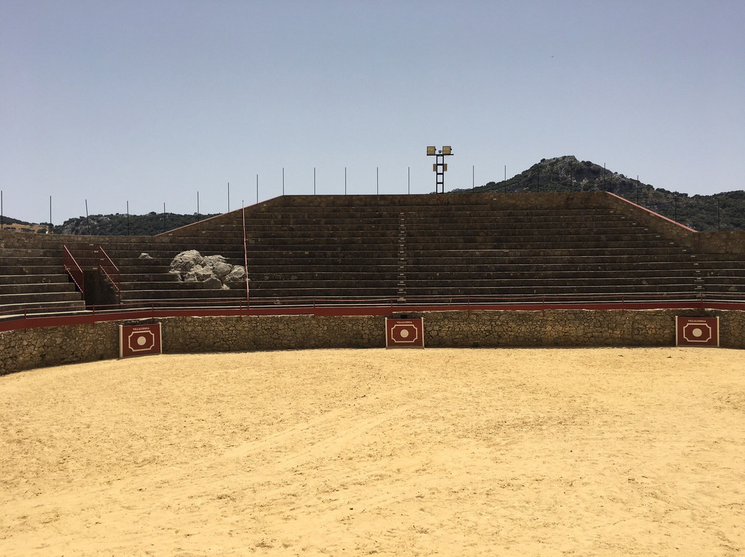 Plaza de Toros景点图片