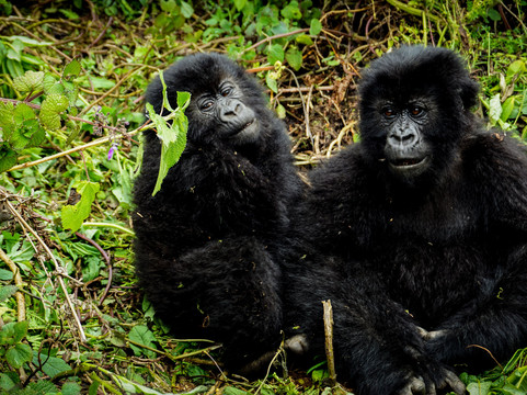 Heaven Experiences-吉佳利必去景点