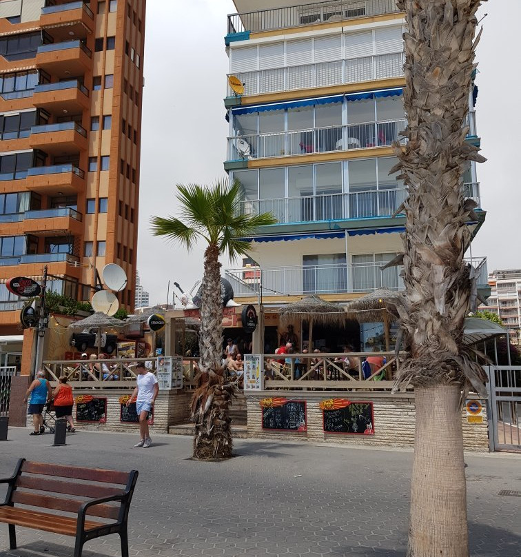 Sol Beach Bar - Benidorm-贝尼多姆必去景点