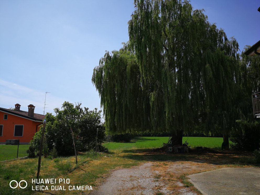 Residenza Il Salice-官方