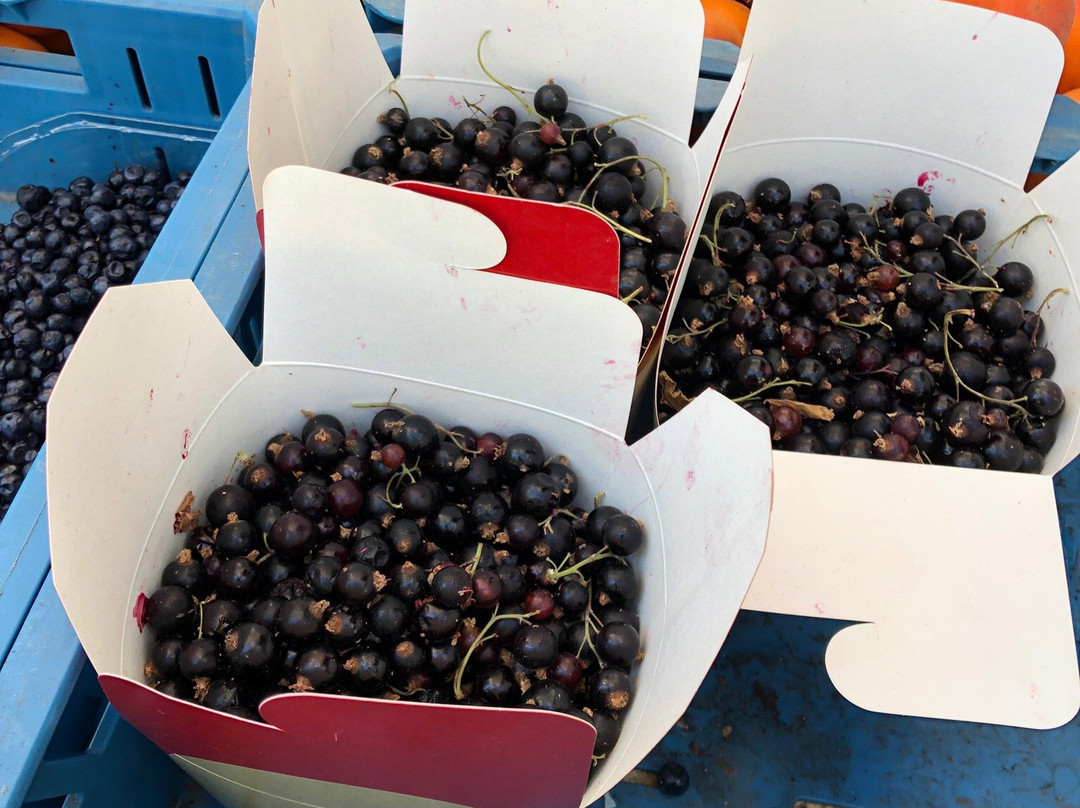 Farmers´Market - Trhy na Jiraku-布拉格必去景点
