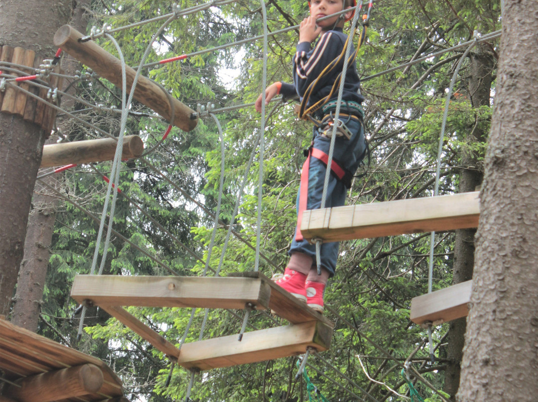 Balu Adventure Park-Harghita Bai必去景点