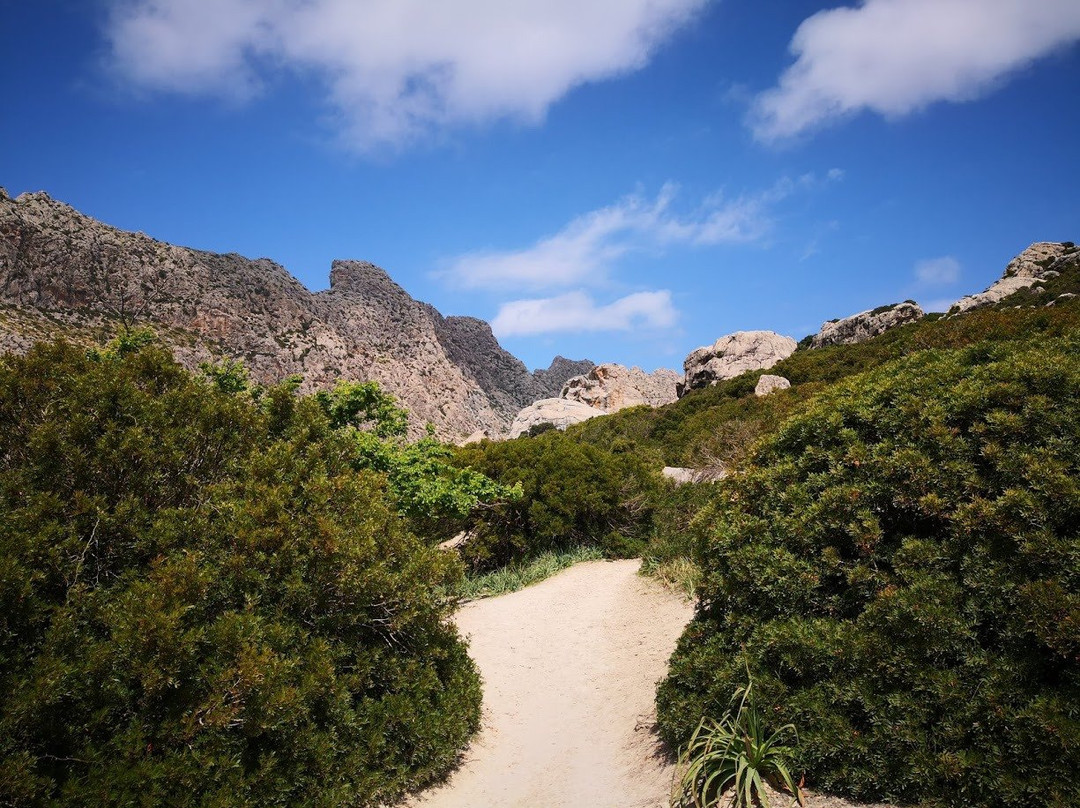 Cala Boquer-Pollenca必去景点