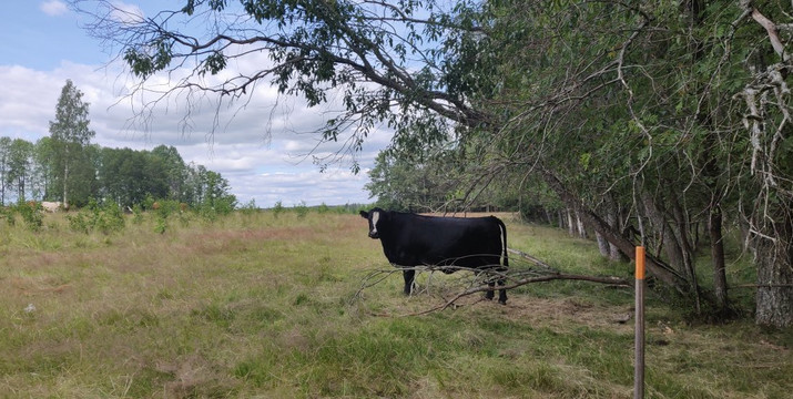 Javeroleden-卡尔斯塔德必去景点