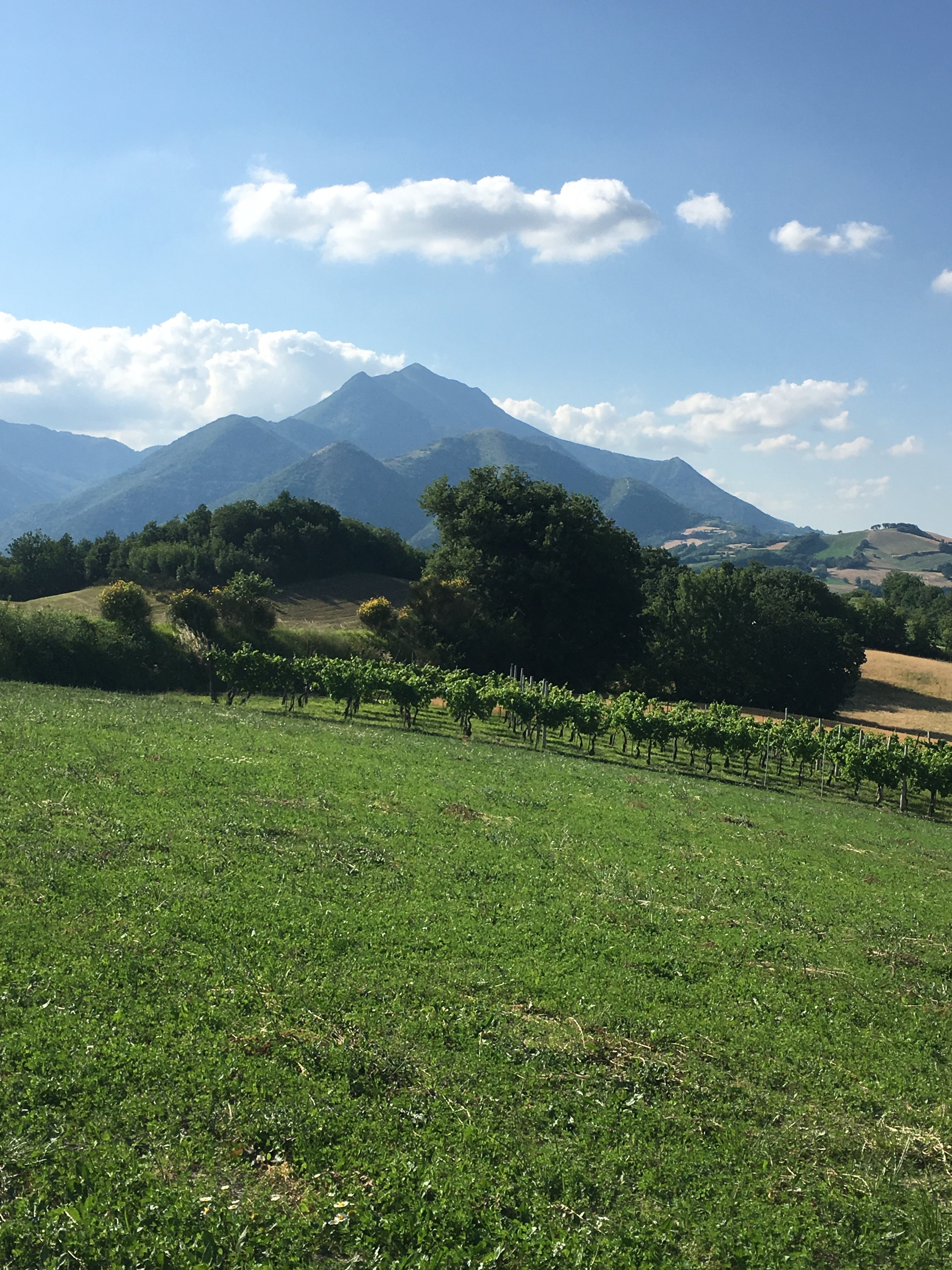 Le Perelle Agriturismo-官方